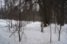 _DSC0813.JPG