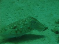 IMG_3805.jpg