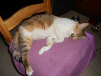 DSCN3992[1].JPG